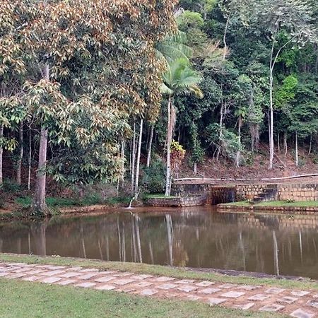Cabanas Eco Das Montanhas Domingos Martins Eksteriør bilde